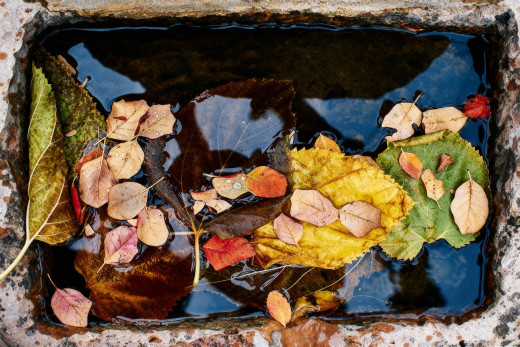 �1760008 �������(a): ����������:2560x1706